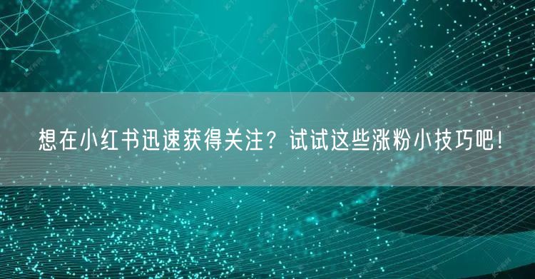 想在小红书迅速获得关注？试试这些涨粉小技巧吧！
