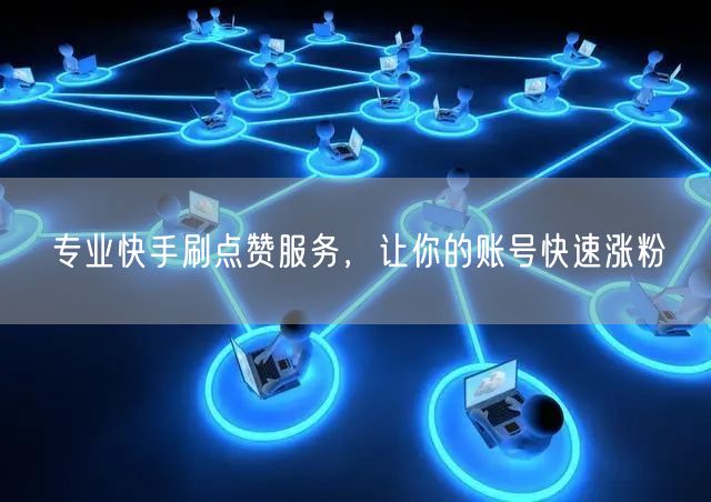 专业快手刷点赞服务，让你的账号快速涨粉