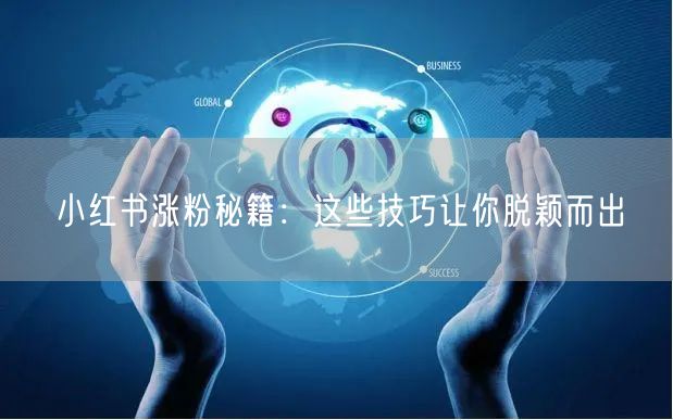 小红书涨粉秘籍：这些技巧让你脱颖而出