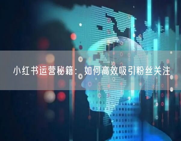 小红书运营秘籍：如何高效吸引粉丝关注