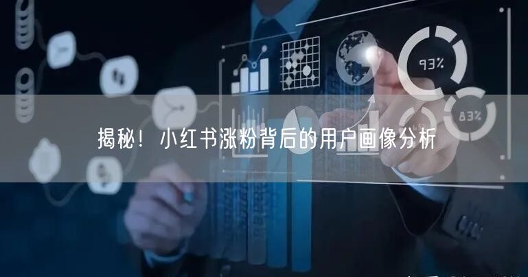 揭秘！小红书涨粉背后的用户画像分析