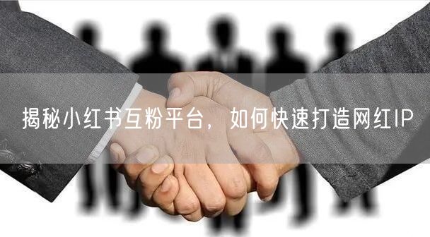 揭秘小红书互粉平台，如何快速打造网红IP