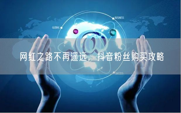 网红之路不再遥远，抖音粉丝购买攻略