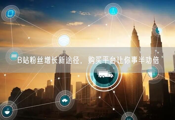 B站粉丝增长新途径，购买平台让你事半功倍