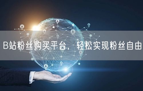 B站粉丝购买平台，轻松实现粉丝自由