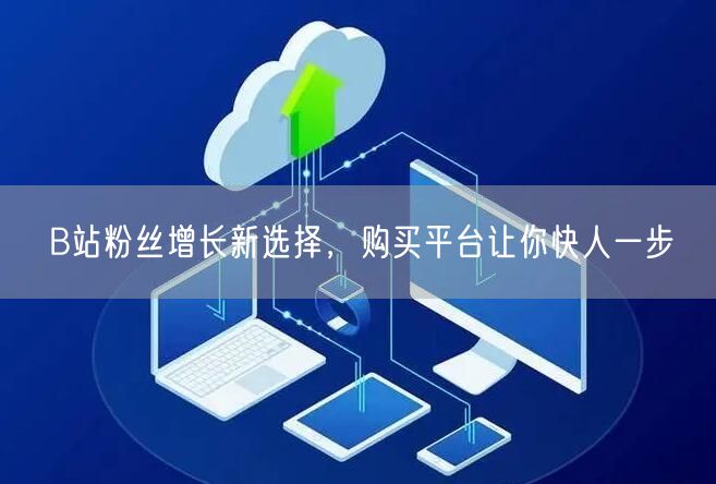 B站粉丝增长新选择，购买平台让你快人一步