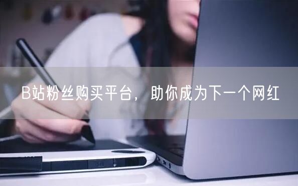 B站粉丝购买平台，助你成为下一个网红